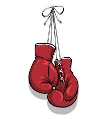 Journée Boxe