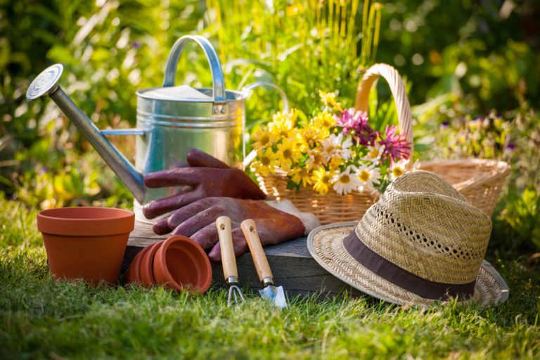 Atelier jardinage