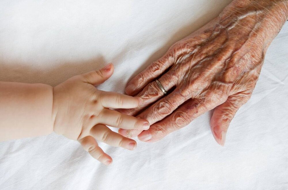 Accueil des enfants du relais Petite enfance de Wimereux